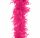 Pink toll boa