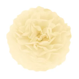 Ekrü papír pompom 35 cm